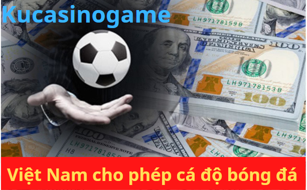 Kerangka hukum untuk taruhan sepak bola di Vietnam