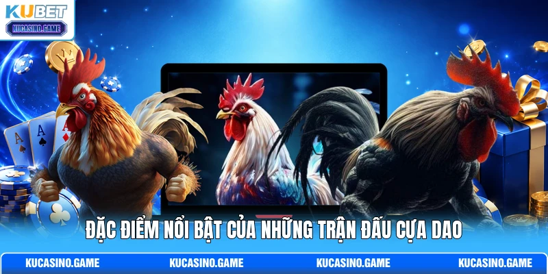 Đặc điểm nổi bật của những trận đấu cựa dao