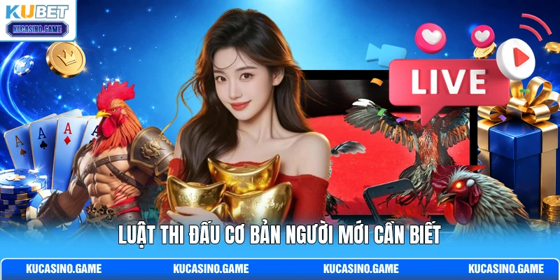Luật thi đấu cơ bản người mới cần biết