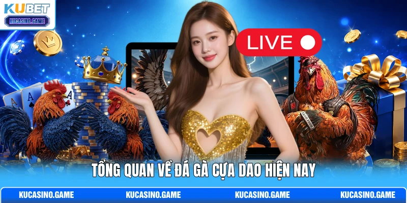 Tổng quan về đá gà cựa dao hiện nay